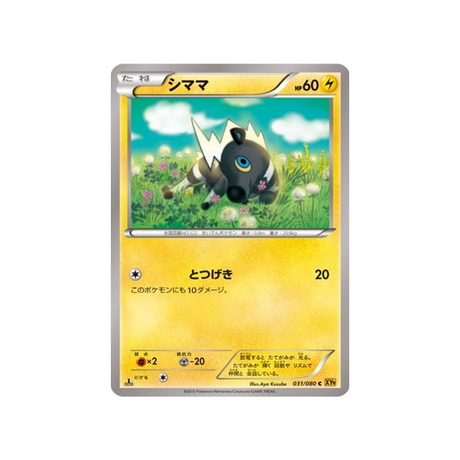 carte-pokemon-la-colere-du-ciel-xy9-031080-zebribon