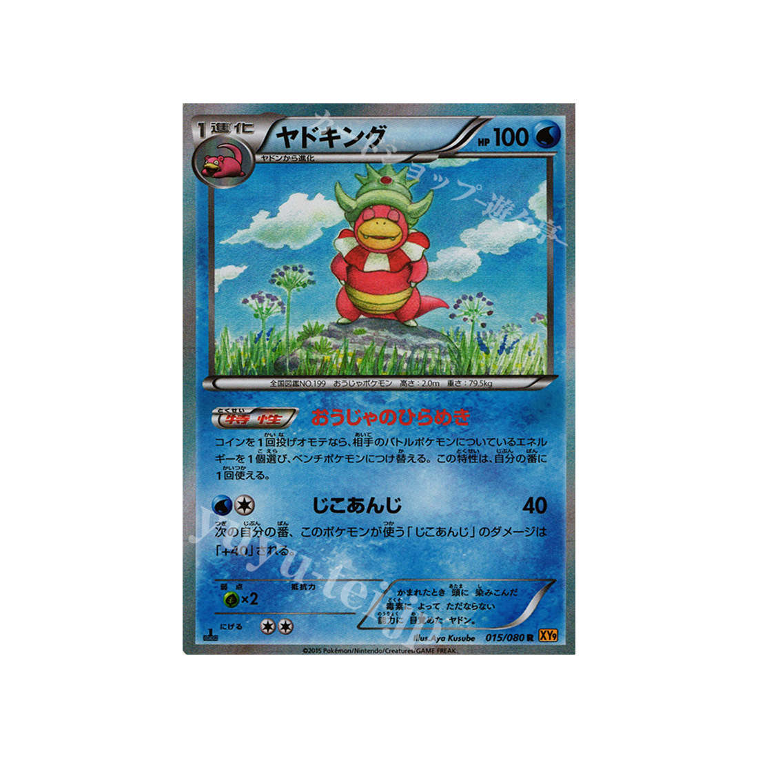 carte-pokemon-la-colere-du-ciel-xy9-015080-roigada