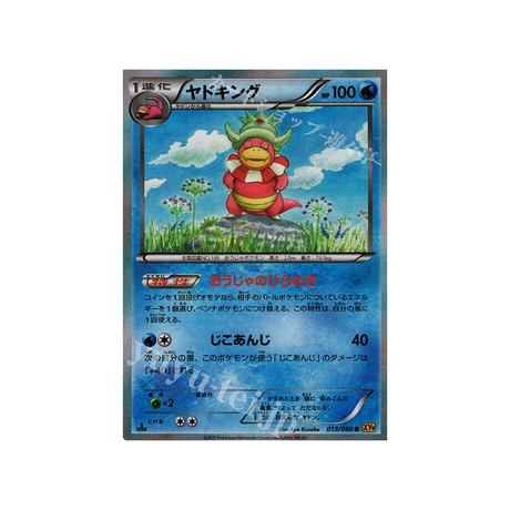 carte-pokemon-la-colere-du-ciel-xy9-015080-roigada