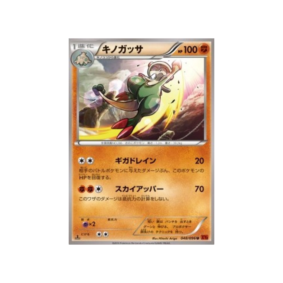 carte-pokemon-poing-levant-xy3-048-096-chapignon
