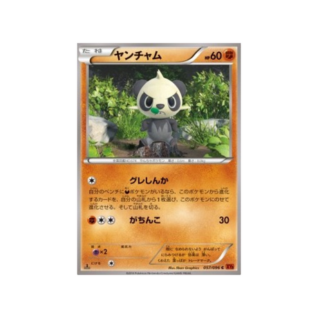 carte-pokemon-poing-levant-xy3-057-096-pandespiegle