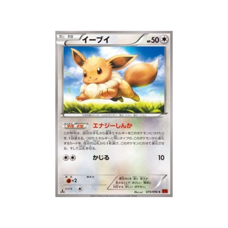 carte-pokemon-poing-levant-xy3-075-096-evoli
