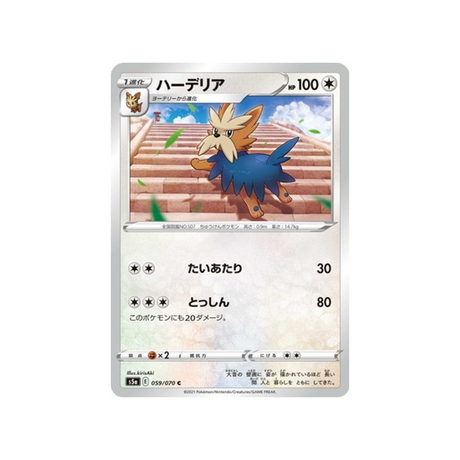 carte-pokemon-twin-fighter-s5a-059070-ponchien