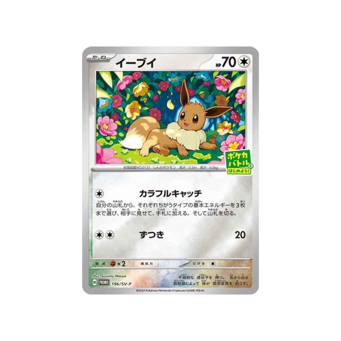 cartes-pokemon-carte-promo-ecarlate-et-violet--sv-p-196-evoli