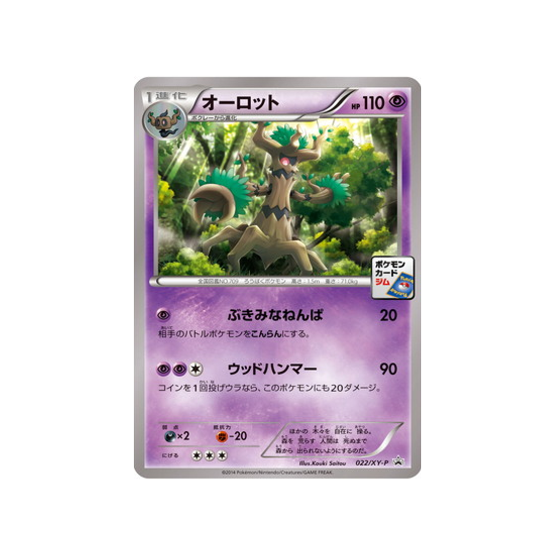 cartes-pokemon-carte-promo-xy-xy-p-022-desseliande