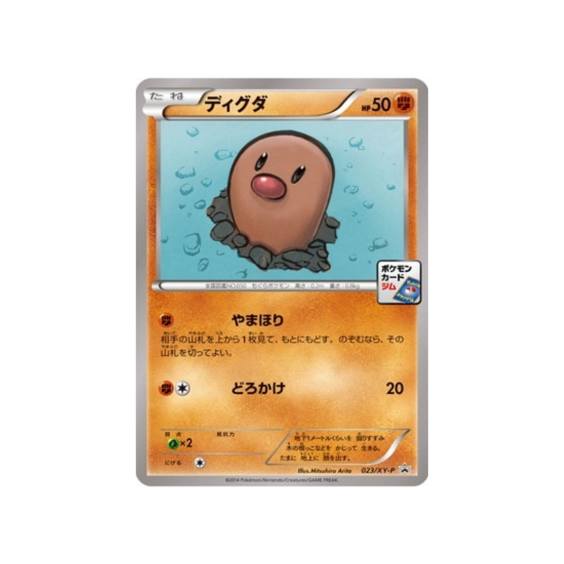 cartes-pokemon-carte-promo-xy-xy-p-023-taupiqueur