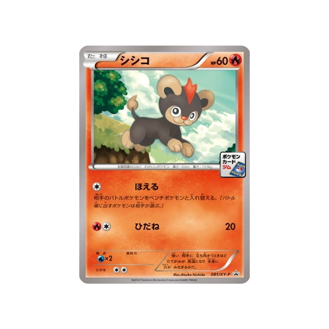 cartes-pokemon-carte-promo-xy-xy-p-081-helionceau