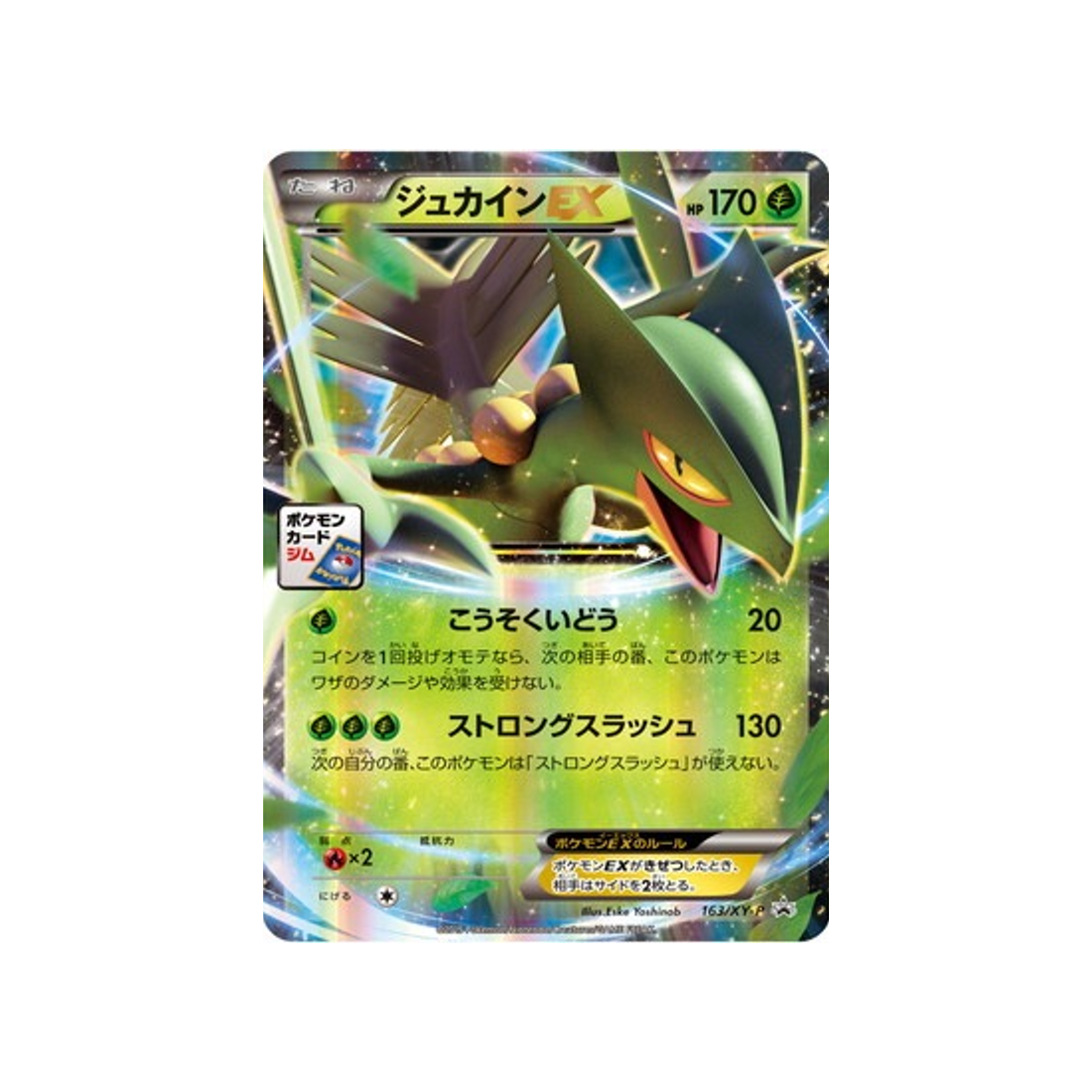 cartes-pokemon-carte-promo-xy-xy-p-163-jungko-ex