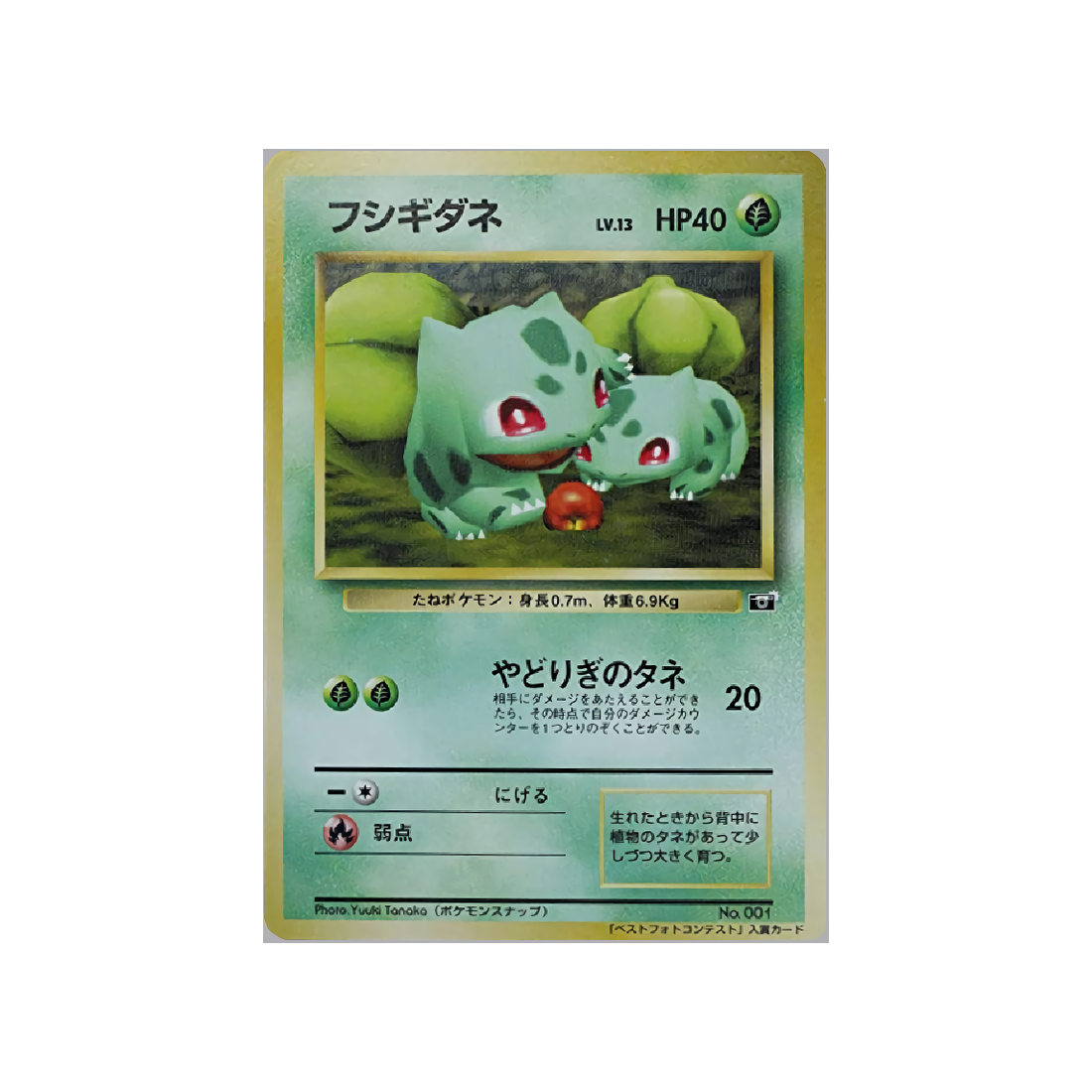 cartes-pokemon-promo-w-promo---bulbizarre