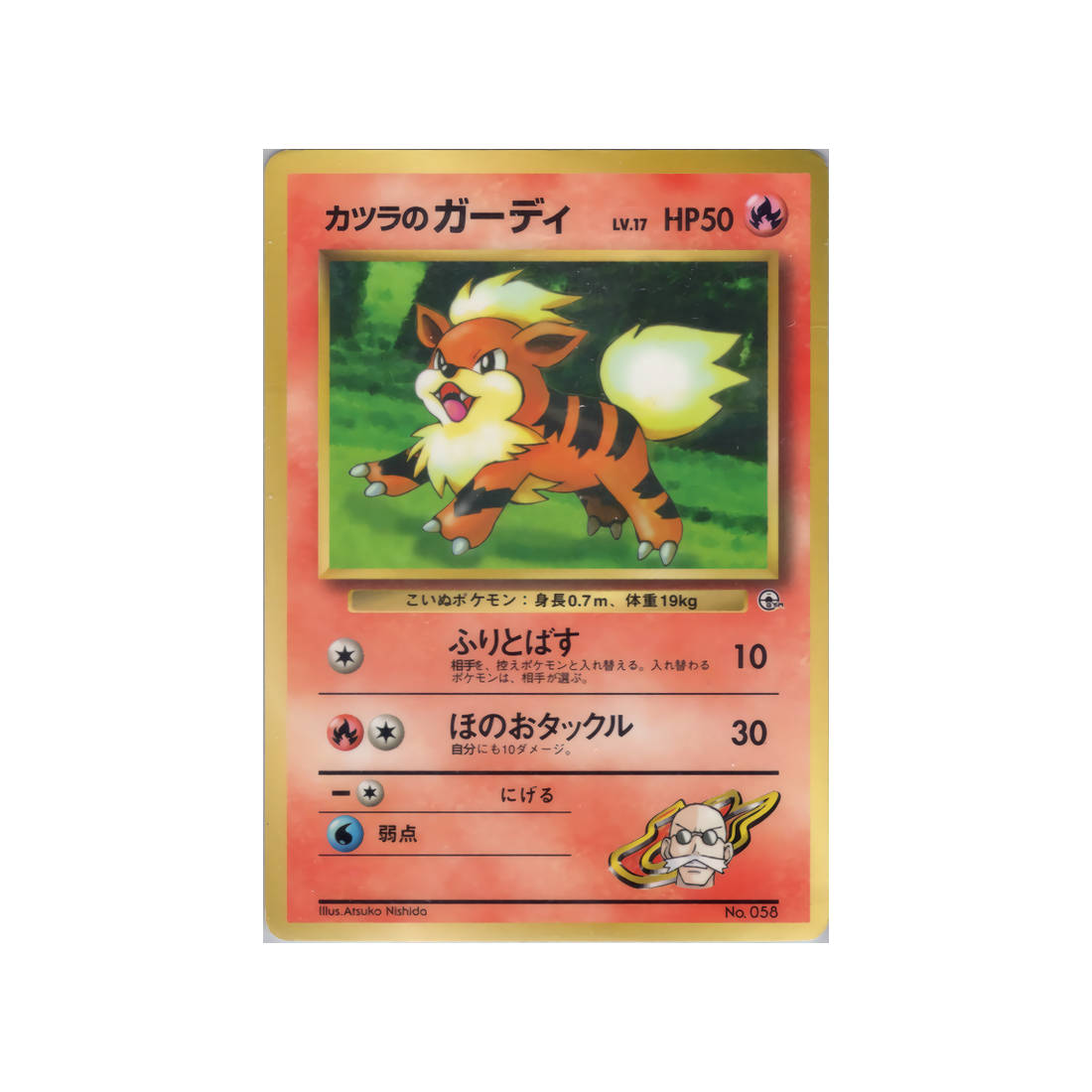 cartes-pokemon-promo-w-promo---caninos-dauguste