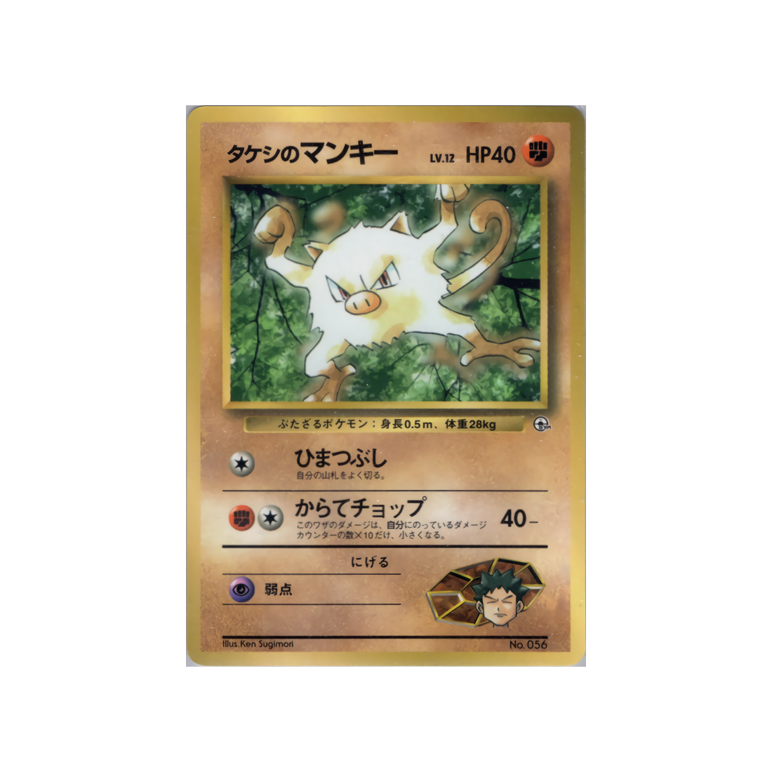 cartes-pokemon-promo-w-promo---ferosinge-de-pierre
