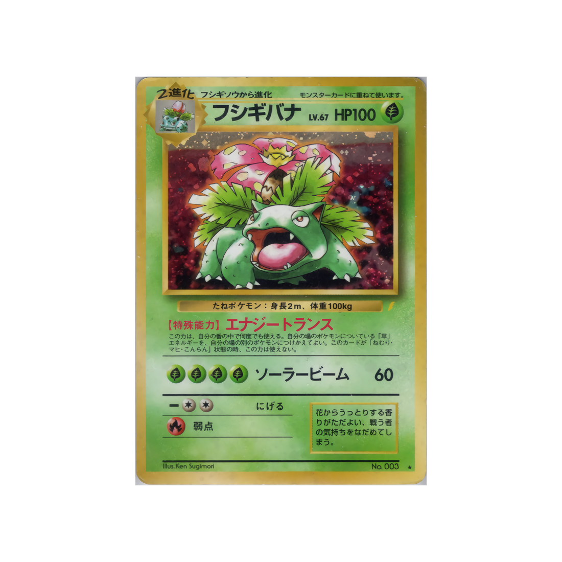 cartes-pokemon-promo-w-promo---florizarre