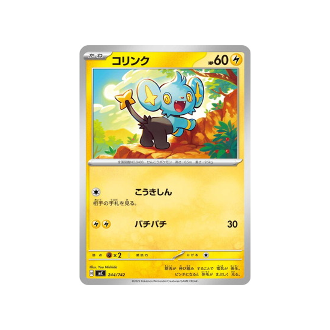 cartes-pokemon-starter-100-battle-collection-mc-244-742-lixy