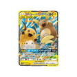 raichu-&-alolan-raichu-gx-carte-pokemon-fin-gg-sm10a-008-054
