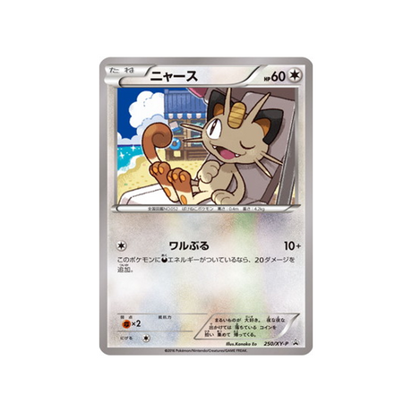 miaouss-carte-pokemon-Carte Promo XY-xy-p-250-298