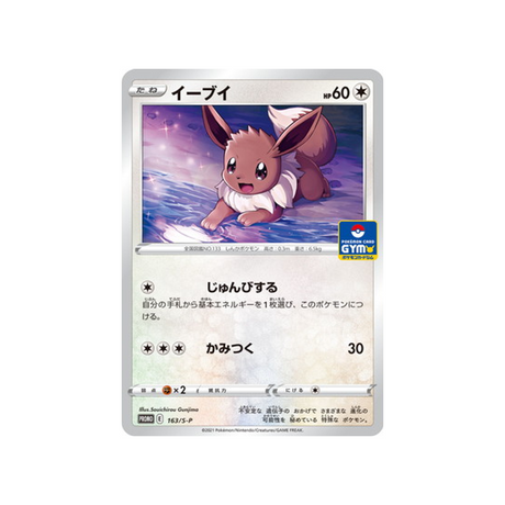 évoli-carte-pokemon-Carte Promo Épée et Bouclier-s-p-163-S-P