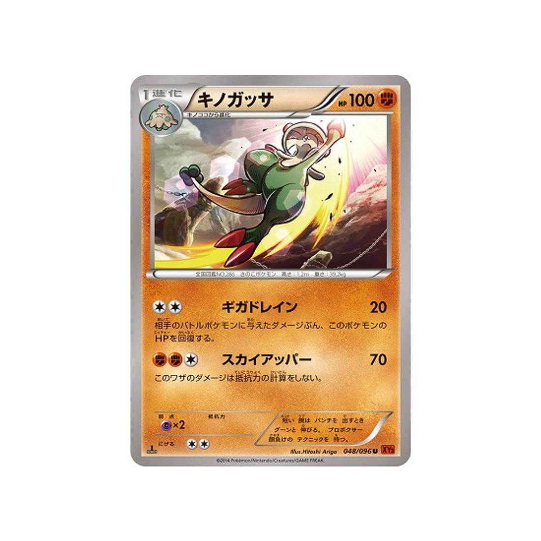 chapignon-carte-pokemon-Poing Levant-xy3-048-096