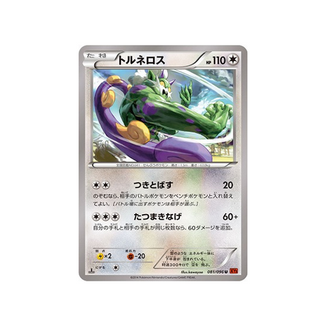 boréas-carte-pokemon-Poing Levant-xy3-081-096