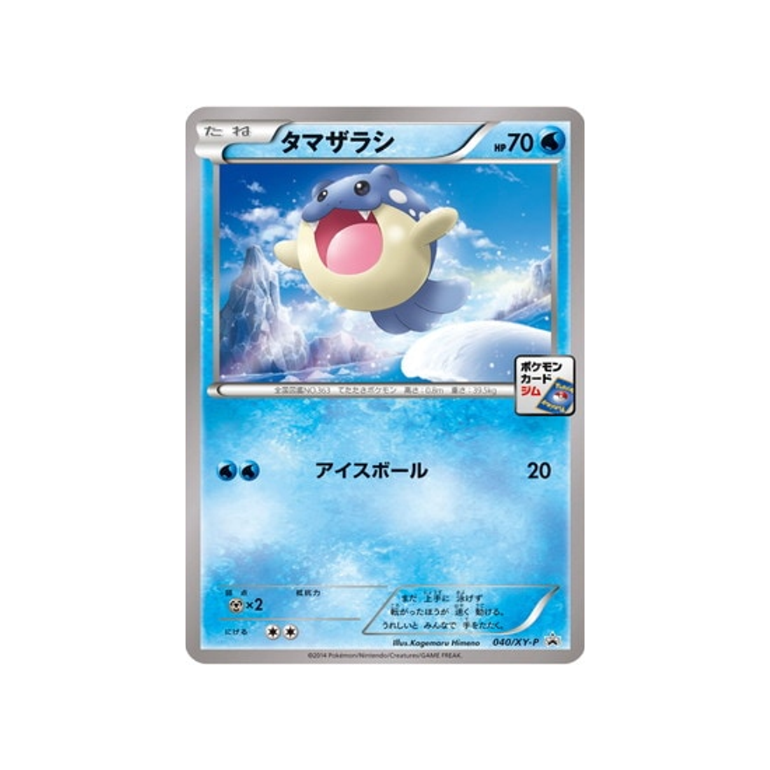 obalie-carte-pokemon-Carte Promo XY-xy-p-040-298