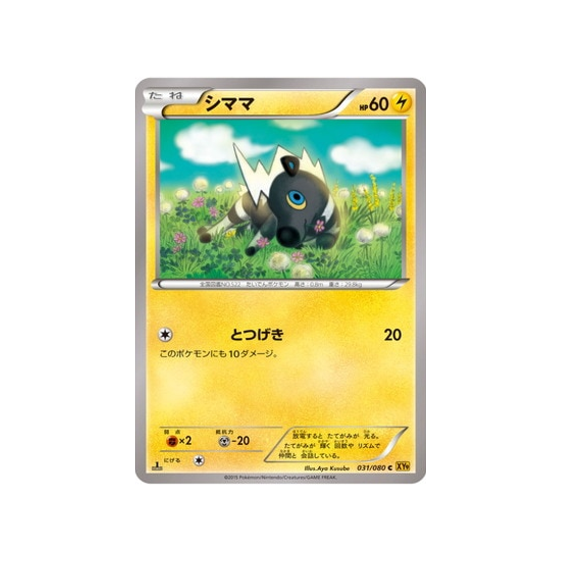 zébribon-carte-pokemon-La Colère du Ciel-xy9-031-080