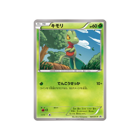 arcko-carte-pokemon-Carte Promo XY-xy-p-107-298