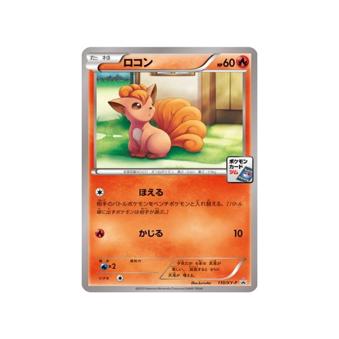 goupix-carte-pokemon-Carte Promo XY-xy-p-110-298