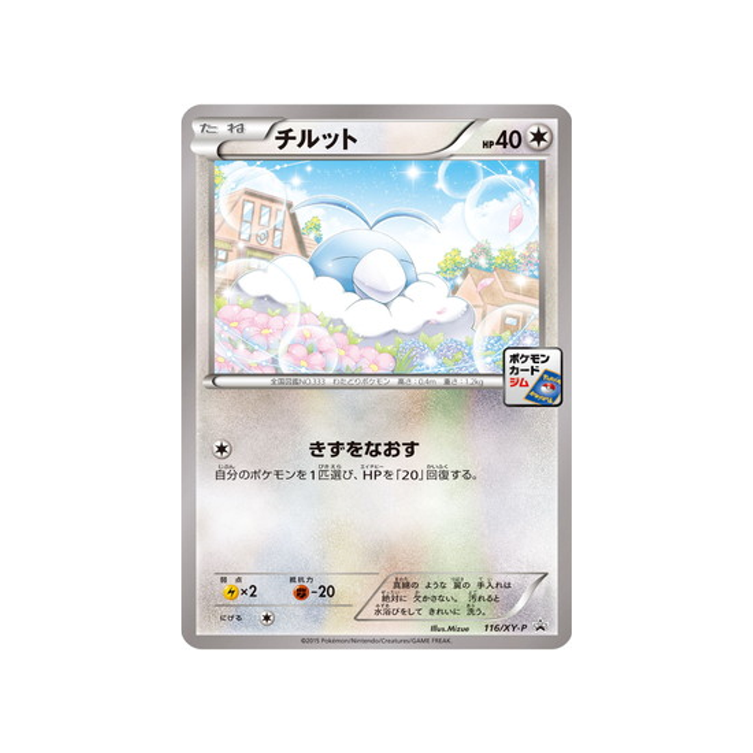 tylton-carte-pokemon-Carte Promo XY-xy-p-116-298