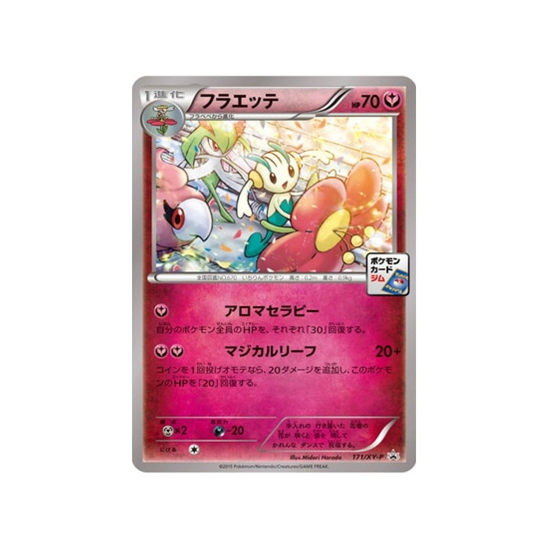 floette-carte-pokemon-Carte Promo XY-xy-p-171-298