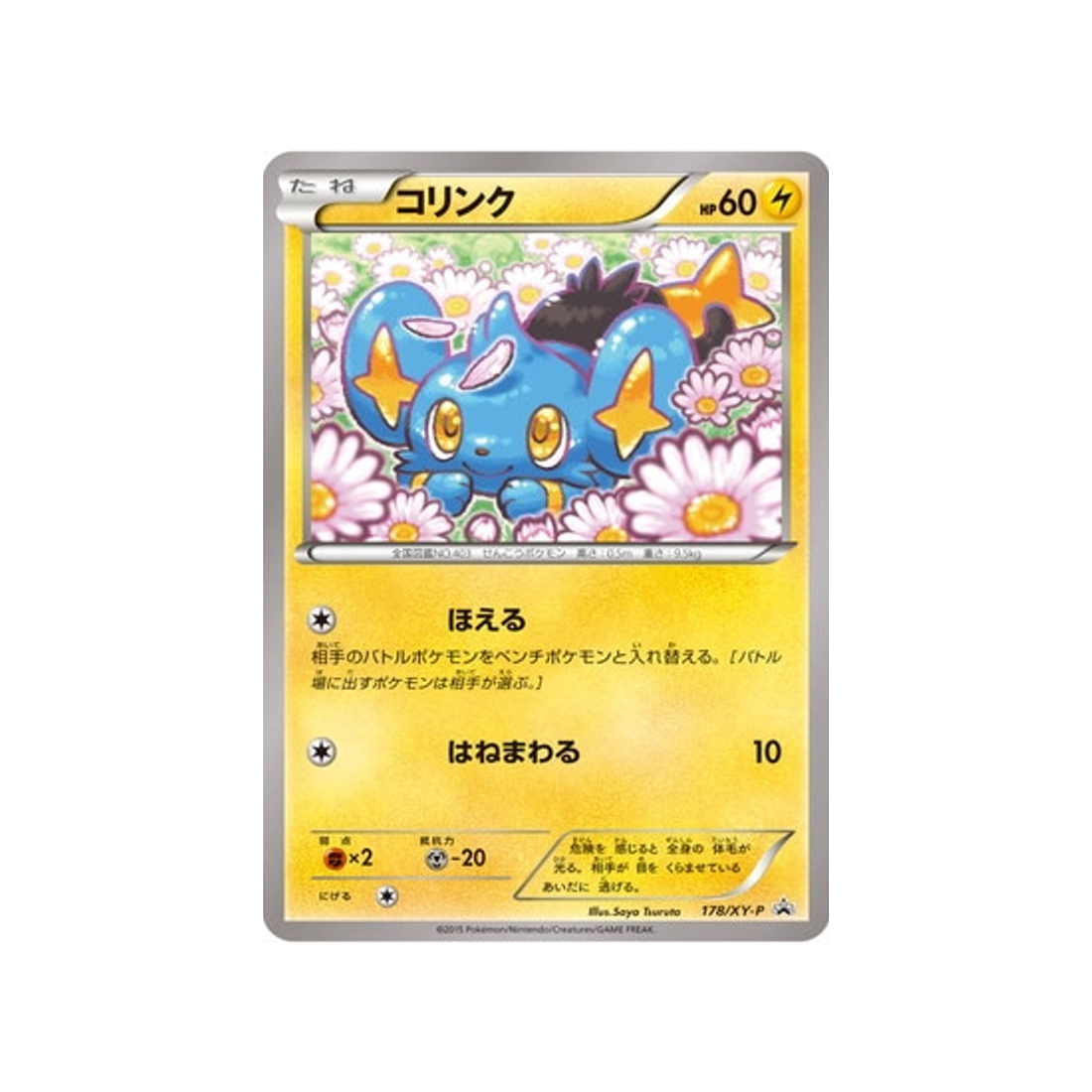 lixy-carte-pokemon-Carte Promo XY-xy-p-178-298