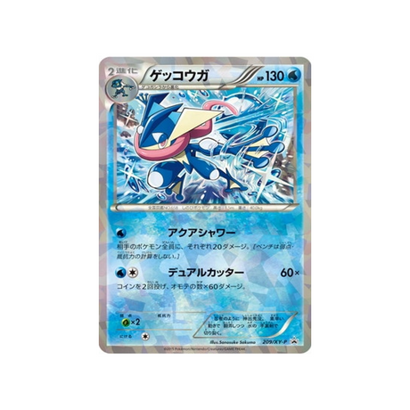 amphinobi-carte-pokemon-Carte Promo XY-xy-p-209-298