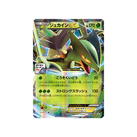 jungko-ex-carte-pokemon-Carte Promo XY-xy-p-163-298