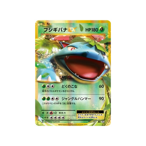 Cartes Pokémon XY