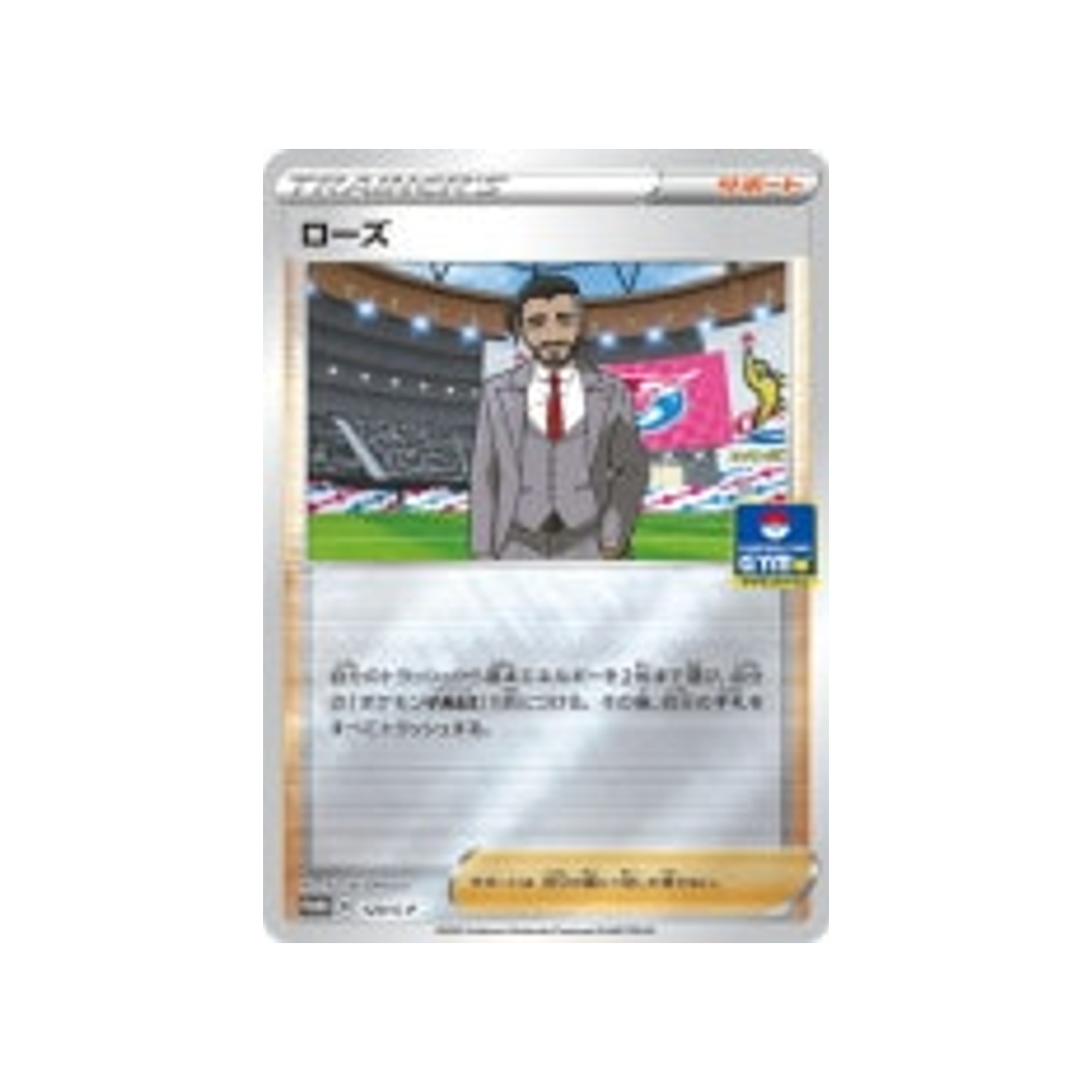 shehroz-carte-pokemon-Carte Promo Épée et Bouclier-s-p-120-S-P