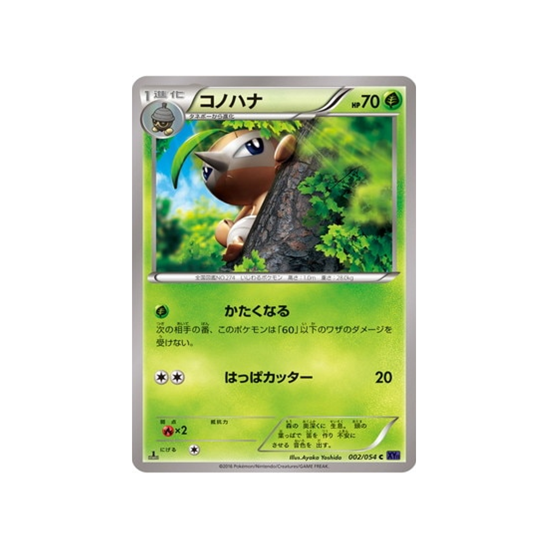 pifeuil-carte-pokemon-Guerrier Explosif-xy11g-002-054