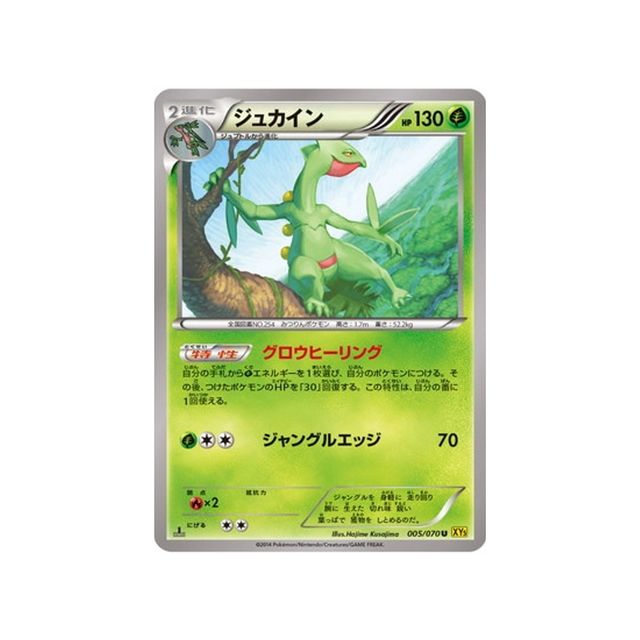 jungko-carte-pokemon-Volcan Gaia-xy5g-005-070