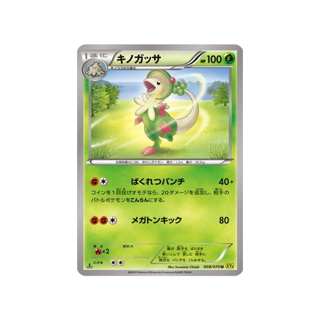 chapignon-carte-pokemon-Volcan Gaia-xy5g-008-070