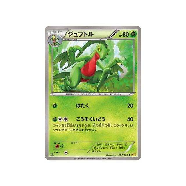 massko-carte-pokemon-Volcan Gaia-xy5g-004-070