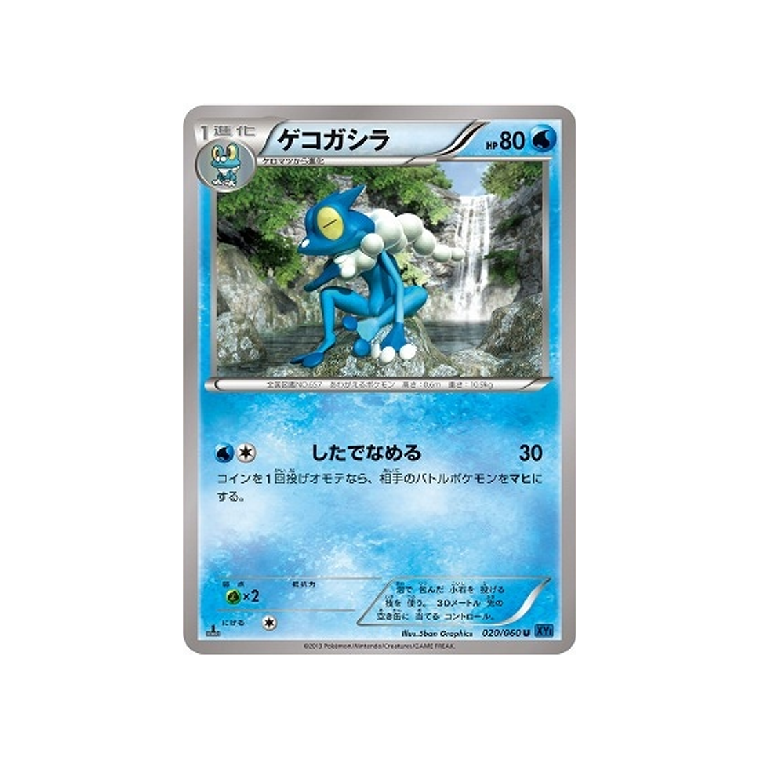 croâporal-carte-pokemon-Collection X-xy1x-020-060