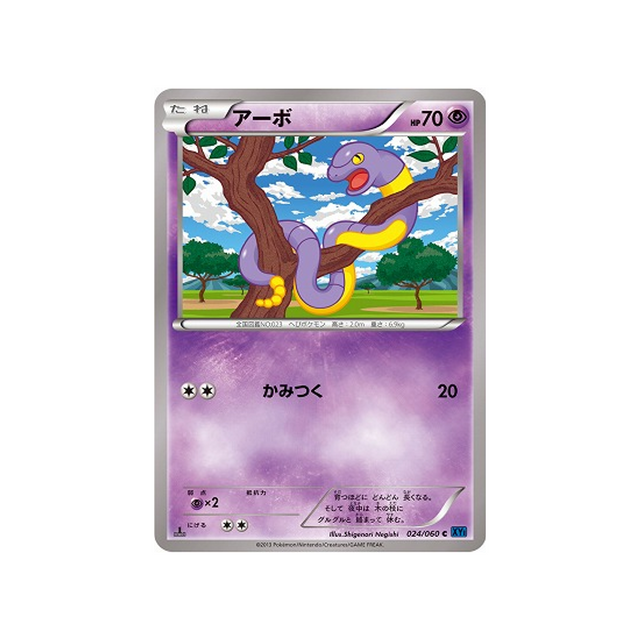 abo-carte-pokemon-Collection X-xy1x-024-060