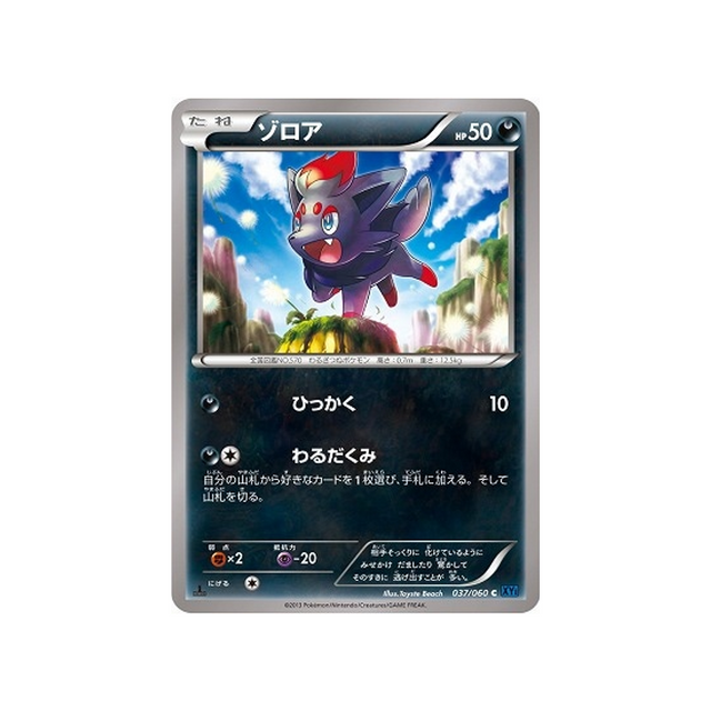 zorua-carte-pokemon-Collection X-xy1x-037-060