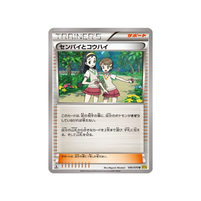 senior-et-junior-carte-pokemon-Volcan Gaia-xy5g-066-070