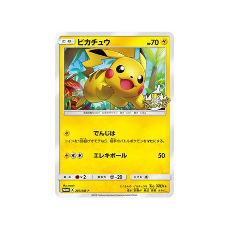 pikachu-carte-pokemon-carte-promo-soleil-et-lune-sm-p-207-408