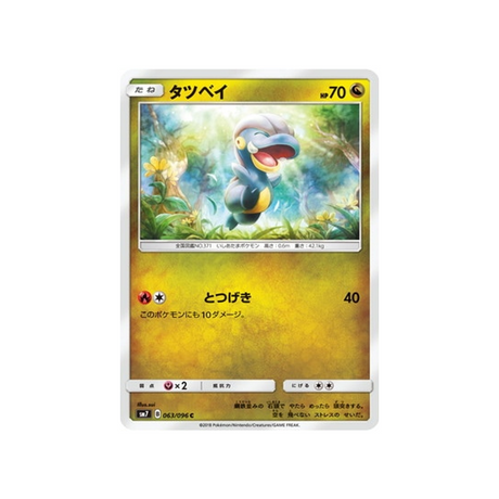 draby-carte-pokemon-tempête-céleste-sm7-063-096