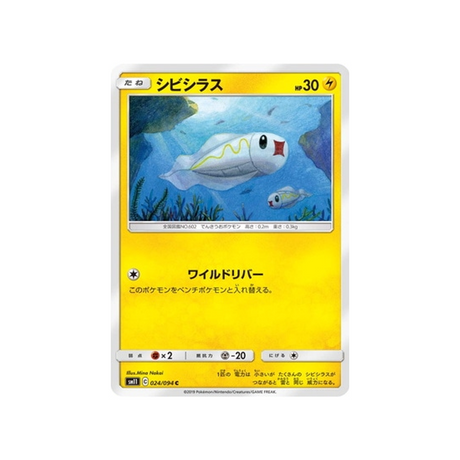 anchwatt-carte-pokemon-jumeau-miracle-sm11-024-094