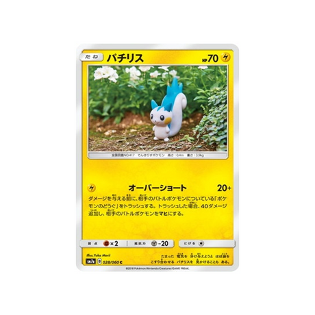 pachirisu-carte-pokemon-étincelle-d'orage-sm7a-028-060