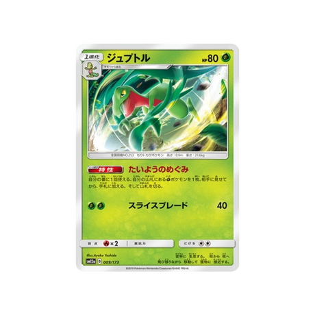 massko-carte-pokemon-tag-team-gx-all-stars-sm12a-009-173