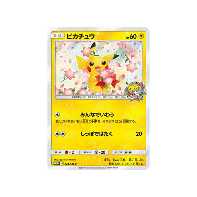 pikachu-carte-pokemon-carte-promo-soleil-et-lune-sm-p-224-408