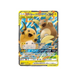 raichu-&-alolan-raichu-gx-carte-pokemon-fin-gg-sm10a-008-054