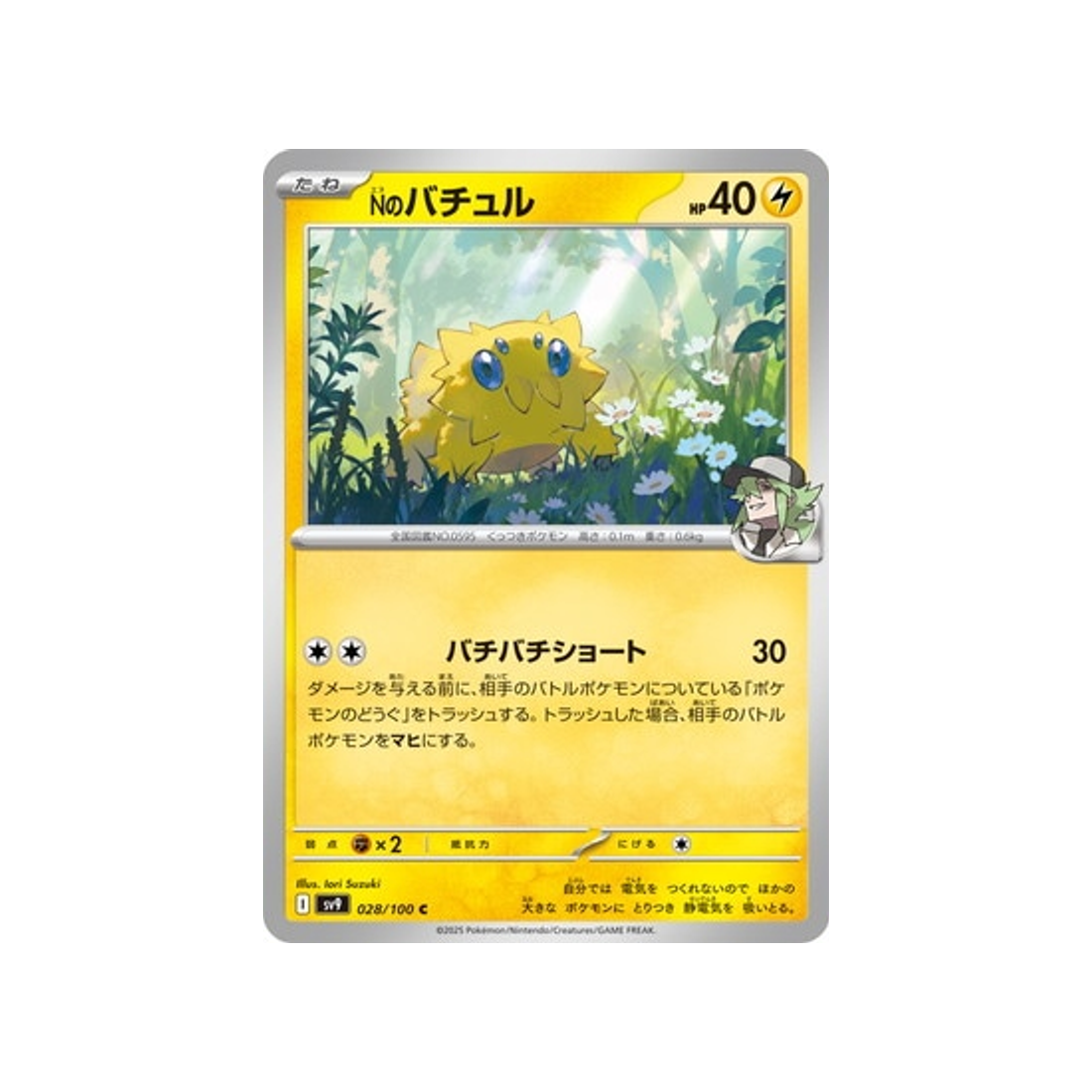 statitik-de-n-carte-pokemon-aventures-ensemble-sv9-028-100