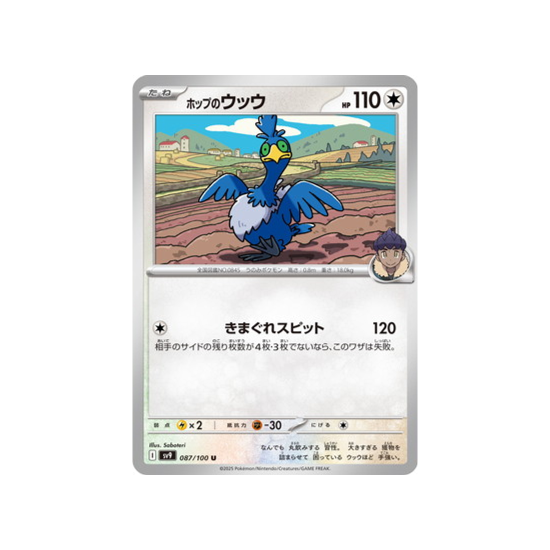 nigosier-de-nabil-carte-pokemon-aventures-ensemble-sv9-087-100